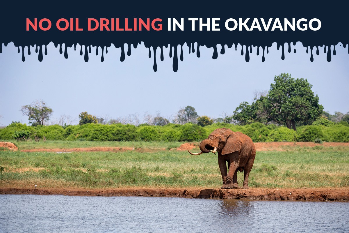 Call for a moratorium and public inquiry on oil and gas exploration in the Kavango regions